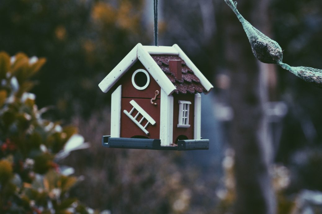myaonegroup Things That Truly Don’t Matter When You Buy Your First House