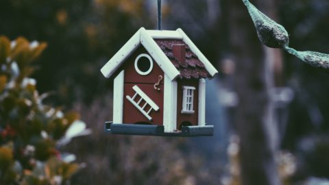 Things That Truly Don’t Matter When You Buy Your First House